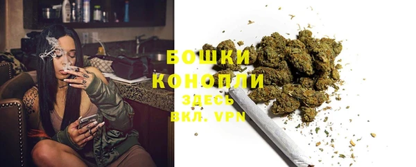 стафф Кулебаки