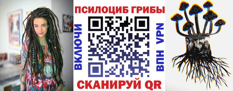 Псилоцибиновые грибы прущие грибы  Тайшет 