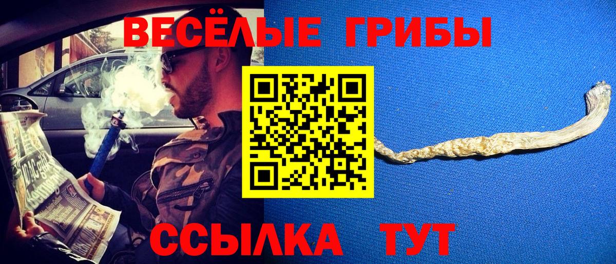 Псилоцибиновые грибы мицелий  Вход с VPN  Тайшет  Галлюциногенные грибы Psilocybe 